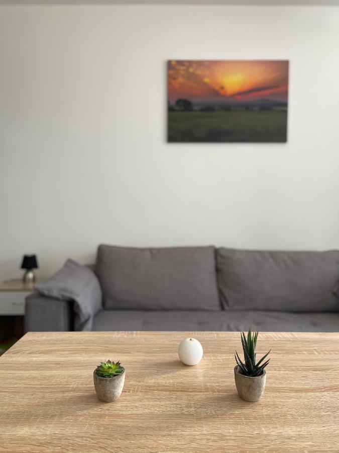 Grand Studio Confortable Et Spacieux Avec Terrasse Villeneuve-lès-Maguelonne Buitenkant foto